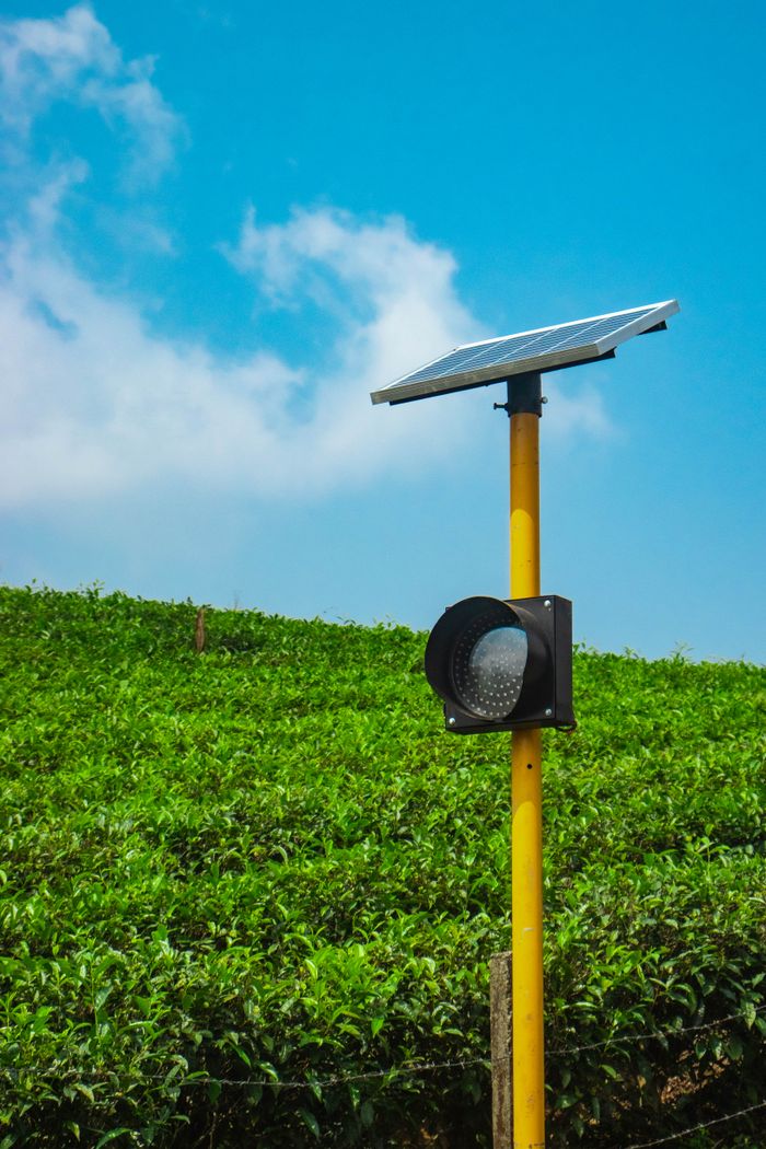 A solar-powered signal light stands amid green tea plantations under a clear blue sky in Vagamon, Kerala, India.